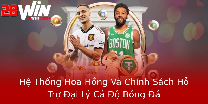 Hệ Thống Hoa Hồng Và Chính Sách Hỗ Trợ Đại Lý Cá Độ Bóng Đá Hệ Thống Hoa Hồng Và Chính Sách Hỗ Trợ Đại Lý Cá Độ Bóng Đá
