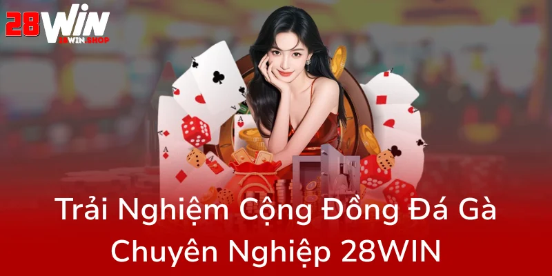Khám Phá Thế Giới Game Bài 28WIN - Trải Nghiệm Đỉnh Cao Tại Nhà Cái Uy Tín 1 Kham Pha The Gioi Game Bai Doi Thuong 28Win0