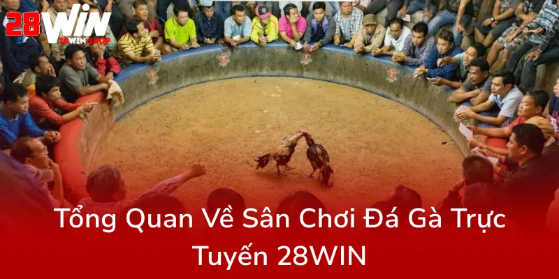 Đá Gà 28WIN - Giải Đấu Trực Tuyến Hấp Dẫn Dành Cho Giới Yêu Thích Đá Gà Chuyên Nghiệp 1 Tong Quan Ve San Choi Da Ga Truc Tuyen 28Win6