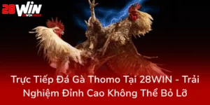 Truc Tiep Da Ga Thomo Tai 28Win Trai Nghiem Dinh Cao Khong The Bo Lo0